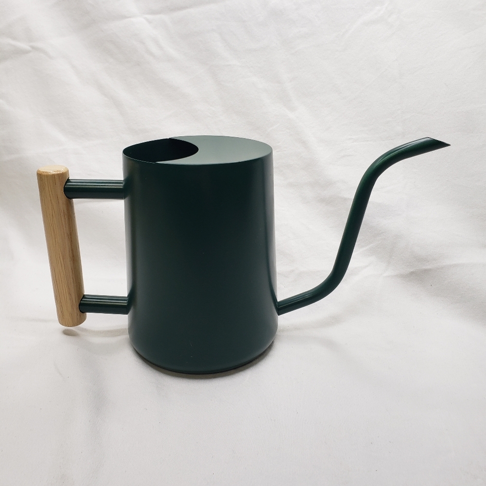 Green Watering Can with Wooden Handle